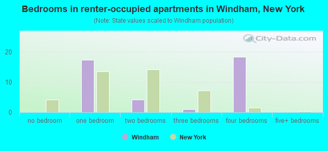 Bedrooms in renter-occupied apartments in Windham, New York