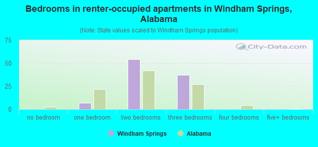 Bedrooms in renter-occupied apartments in Windham Springs, Alabama