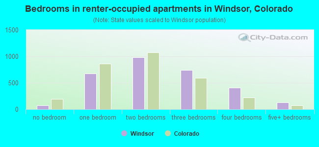 Bedrooms in renter-occupied apartments in Windsor, Colorado