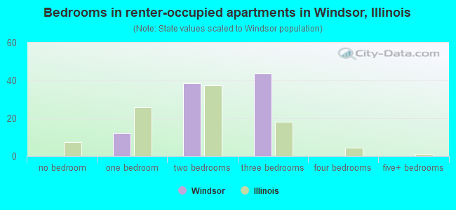 Bedrooms in renter-occupied apartments in Windsor, Illinois