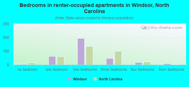 Bedrooms in renter-occupied apartments in Windsor, North Carolina