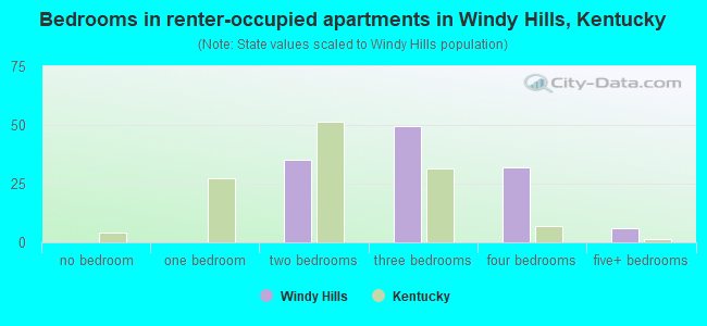 Bedrooms in renter-occupied apartments in Windy Hills, Kentucky