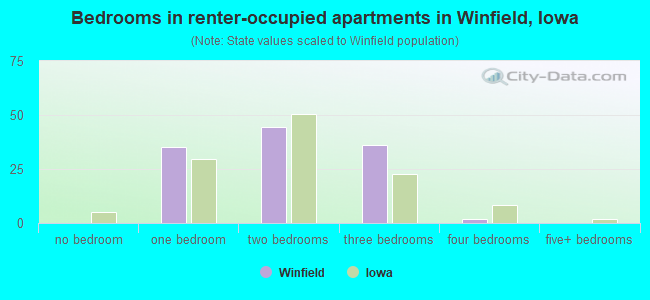 Bedrooms in renter-occupied apartments in Winfield, Iowa