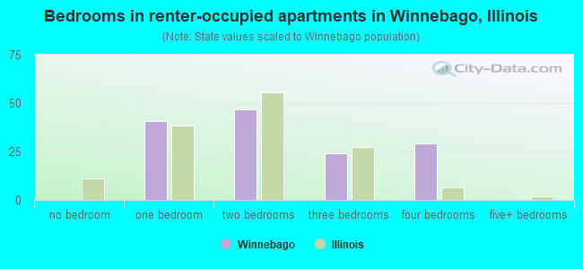 Bedrooms in renter-occupied apartments in Winnebago, Illinois