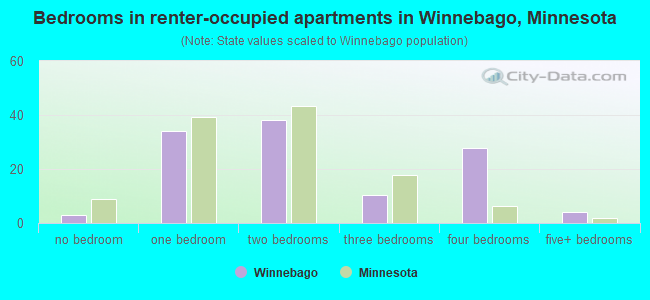 Bedrooms in renter-occupied apartments in Winnebago, Minnesota