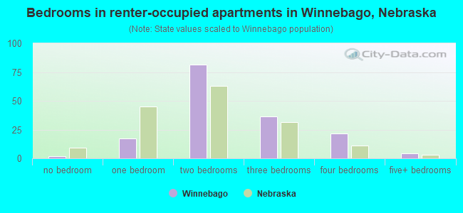 Bedrooms in renter-occupied apartments in Winnebago, Nebraska