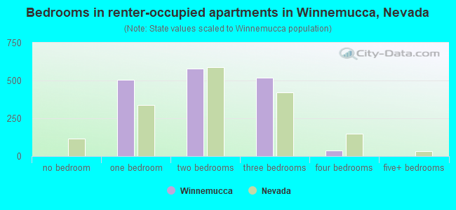 Bedrooms in renter-occupied apartments in Winnemucca, Nevada