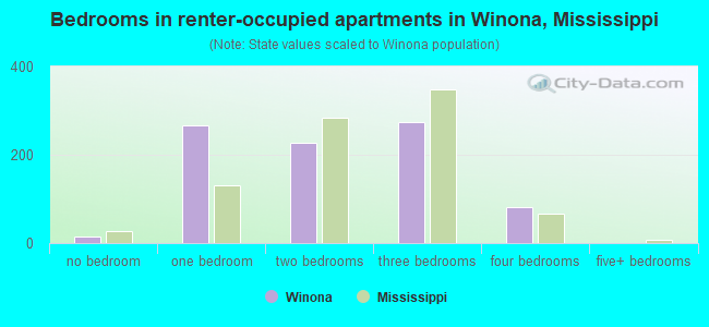 Bedrooms in renter-occupied apartments in Winona, Mississippi
