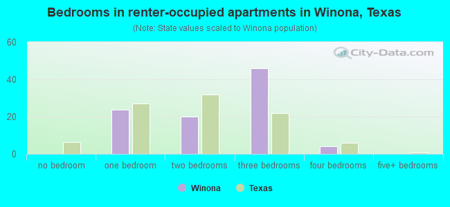 Bedrooms in renter-occupied apartments in Winona, Texas