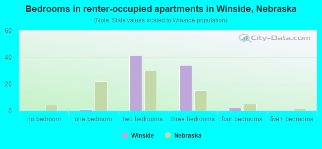 Bedrooms in renter-occupied apartments in Winside, Nebraska