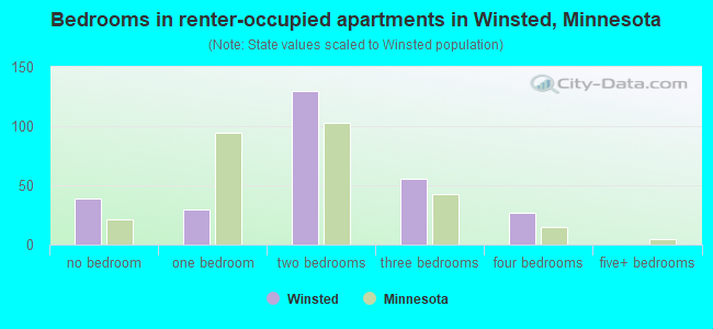 Bedrooms in renter-occupied apartments in Winsted, Minnesota