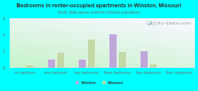 Bedrooms in renter-occupied apartments in Winston, Missouri