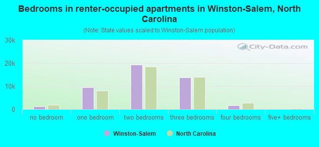 Bedrooms in renter-occupied apartments in Winston-Salem, North Carolina
