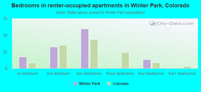 Bedrooms in renter-occupied apartments in Winter Park, Colorado