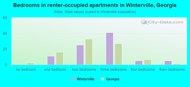 Bedrooms in renter-occupied apartments in Winterville, Georgia