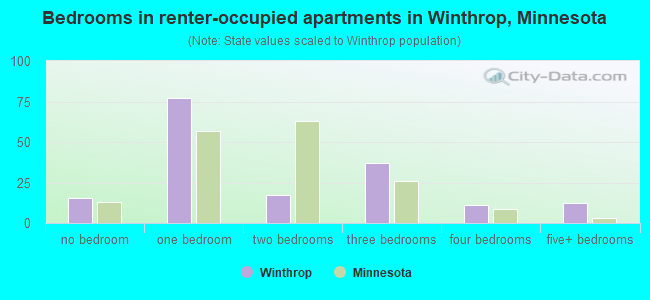 Bedrooms in renter-occupied apartments in Winthrop, Minnesota