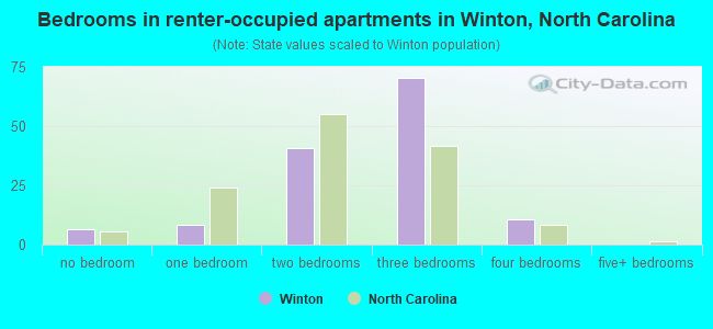 Bedrooms in renter-occupied apartments in Winton, North Carolina