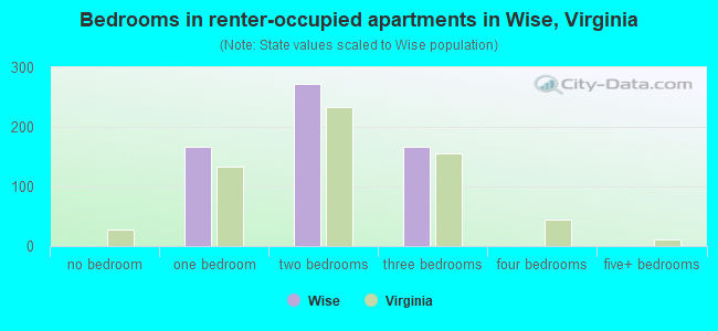 Bedrooms in renter-occupied apartments in Wise, Virginia