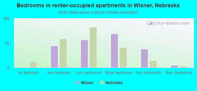 Bedrooms in renter-occupied apartments in Wisner, Nebraska