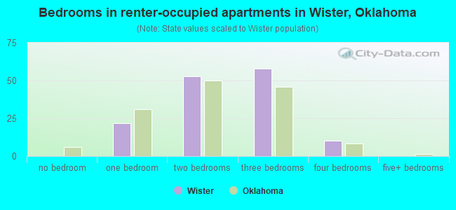 Bedrooms in renter-occupied apartments in Wister, Oklahoma