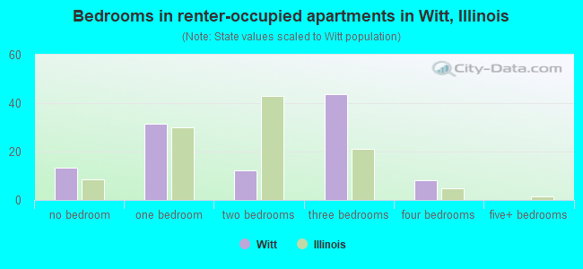 Bedrooms in renter-occupied apartments in Witt, Illinois