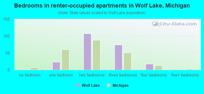 Bedrooms in renter-occupied apartments in Wolf Lake, Michigan