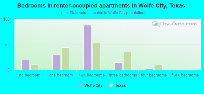 Bedrooms in renter-occupied apartments in Wolfe City, Texas