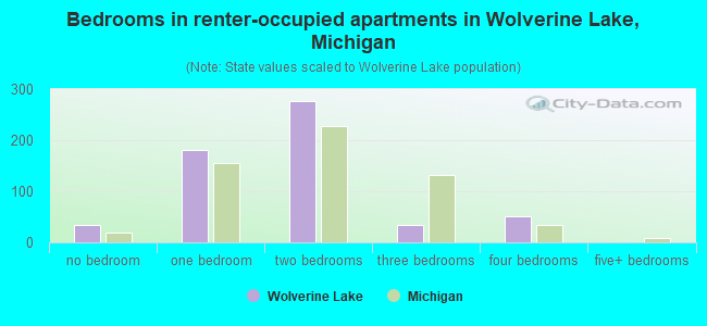 Bedrooms in renter-occupied apartments in Wolverine Lake, Michigan