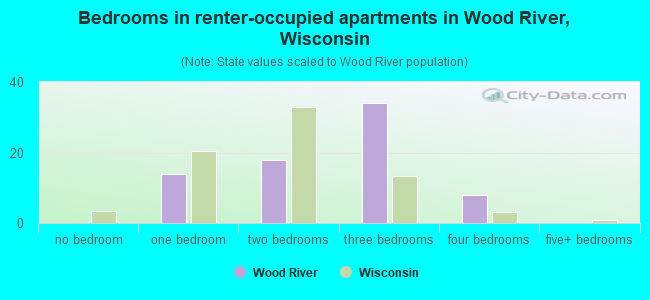 Bedrooms in renter-occupied apartments in Wood River, Wisconsin