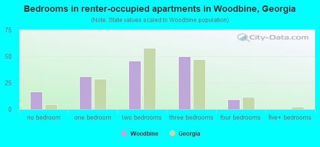 Bedrooms in renter-occupied apartments in Woodbine, Georgia