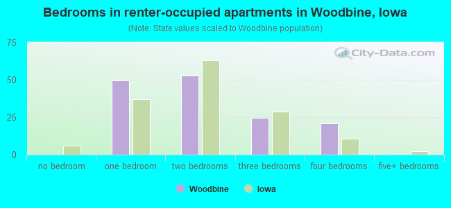 Bedrooms in renter-occupied apartments in Woodbine, Iowa