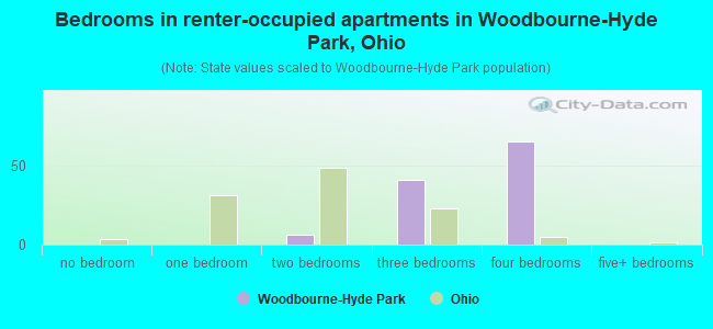Bedrooms in renter-occupied apartments in Woodbourne-Hyde Park, Ohio