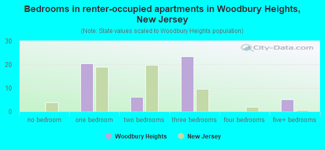 Bedrooms in renter-occupied apartments in Woodbury Heights, New Jersey