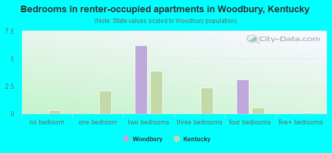 Bedrooms in renter-occupied apartments in Woodbury, Kentucky