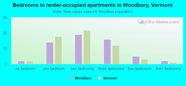 Bedrooms in renter-occupied apartments in Woodbury, Vermont
