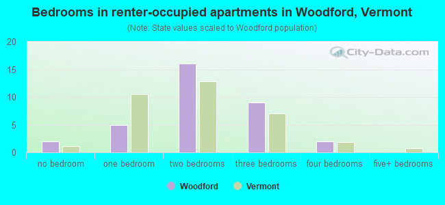 Bedrooms in renter-occupied apartments in Woodford, Vermont