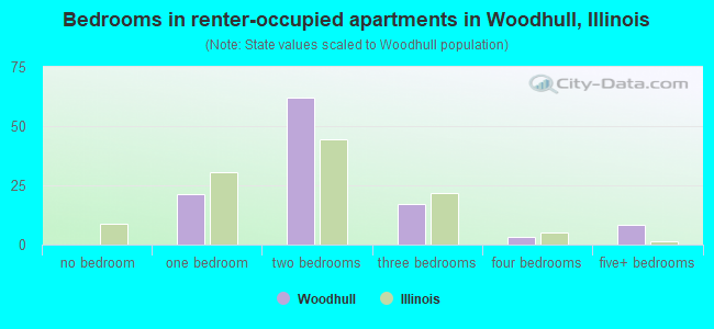 Bedrooms in renter-occupied apartments in Woodhull, Illinois