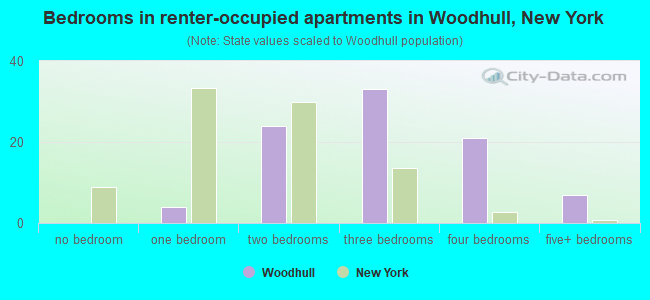 Bedrooms in renter-occupied apartments in Woodhull, New York