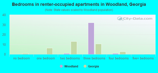 Bedrooms in renter-occupied apartments in Woodland, Georgia