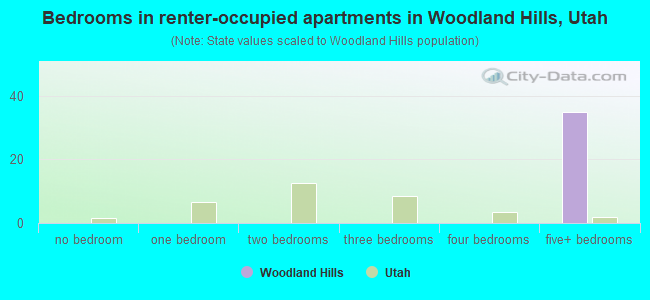 Bedrooms in renter-occupied apartments in Woodland Hills, Utah