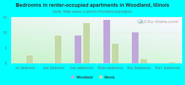 Bedrooms in renter-occupied apartments in Woodland, Illinois