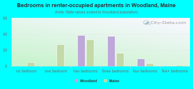 Bedrooms in renter-occupied apartments in Woodland, Maine