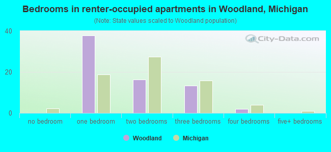 Bedrooms in renter-occupied apartments in Woodland, Michigan