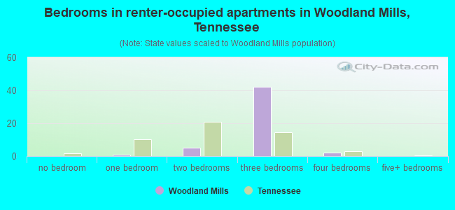Bedrooms in renter-occupied apartments in Woodland Mills, Tennessee