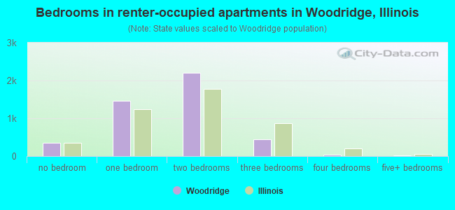 Bedrooms in renter-occupied apartments in Woodridge, Illinois