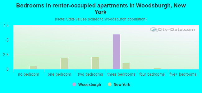 Bedrooms in renter-occupied apartments in Woodsburgh, New York