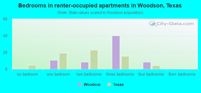 Bedrooms in renter-occupied apartments in Woodson, Texas