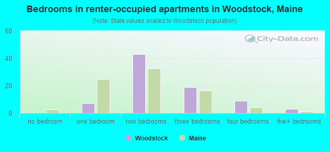 Bedrooms in renter-occupied apartments in Woodstock, Maine