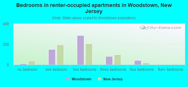 Bedrooms in renter-occupied apartments in Woodstown, New Jersey