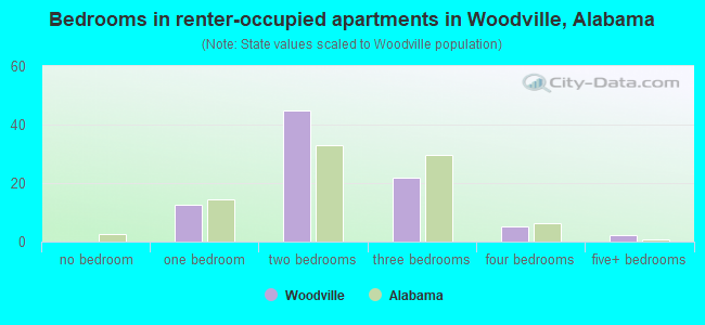 Bedrooms in renter-occupied apartments in Woodville, Alabama